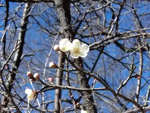 稱名寺(神奈川県)