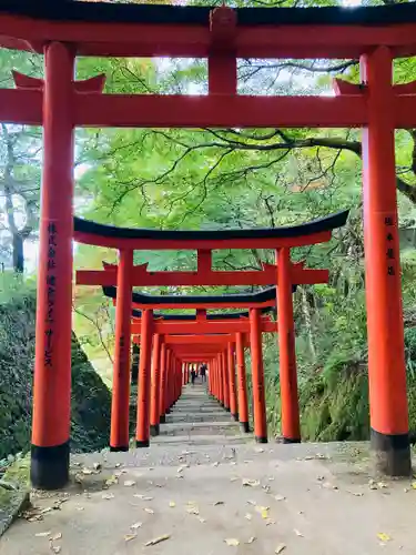 有子山稲荷神社の鳥居