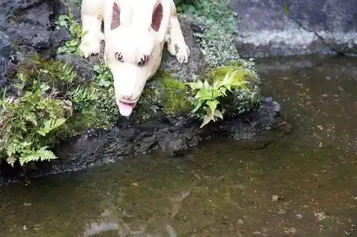 京濱伏見稲荷神社の狛犬