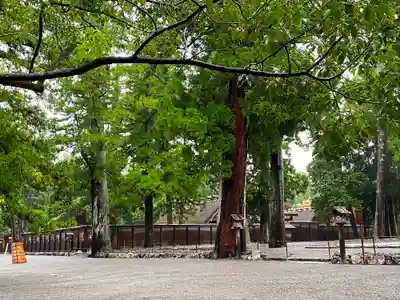 伊勢神宮外宮（豊受大神宮）のその他建物