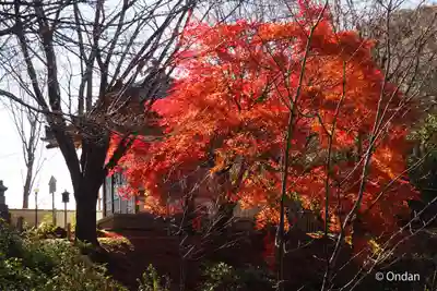正法寺(滋賀県)
