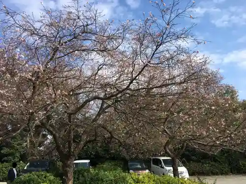 櫻木神社の景色