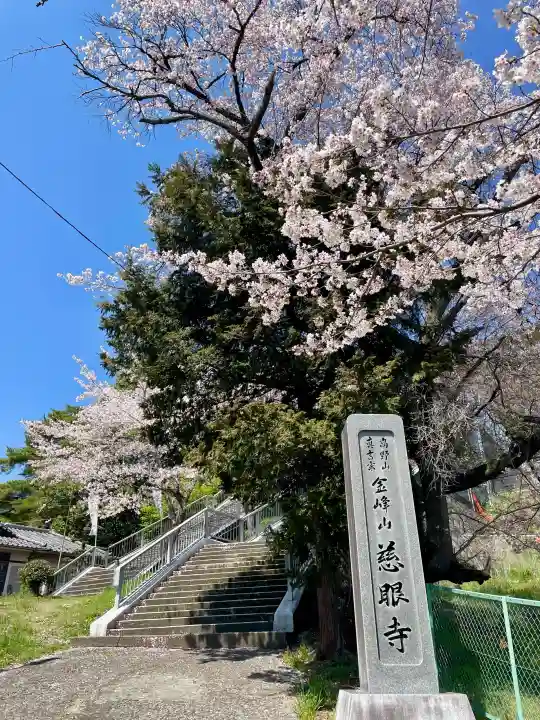 慈眼寺の{uncategorized: "未分類", other: "その他", undefined: "問題あり", building: "その他建物", grave: "お墓", sacred_gate: "鳥居", guardian: "狛犬", statue: "像", buddha: "仏像", history: "歴史", nature: "自然", garden: "庭園", animal: "動物", pagoda: "塔", temizu: "手水舎", mountain_gate: "山門・神門", sanctuary: "本殿・本堂", subordinate: "末社・摂社", art: "芸術", scenery: "景色", jizo: "地蔵", ema: "絵馬", goshuin: "御朱印", omikuji: "おみくじ", items: "授与品その他", amulet: "お守り", goshuincho: "御朱印帳", eats: "食事", festival: "お祭り", votive_dance: "神楽", shichigosan: "七五三参", wedding: "結婚式", experience: "体験その他", initially: "初詣", around: "周辺", anti_infection: "感染症対策"}