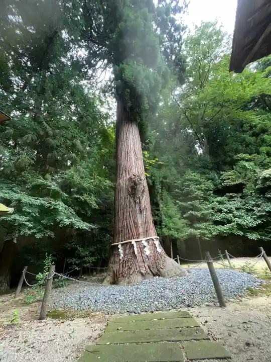 鹿嶋神社の自然
