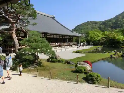 天龍寺の庭園