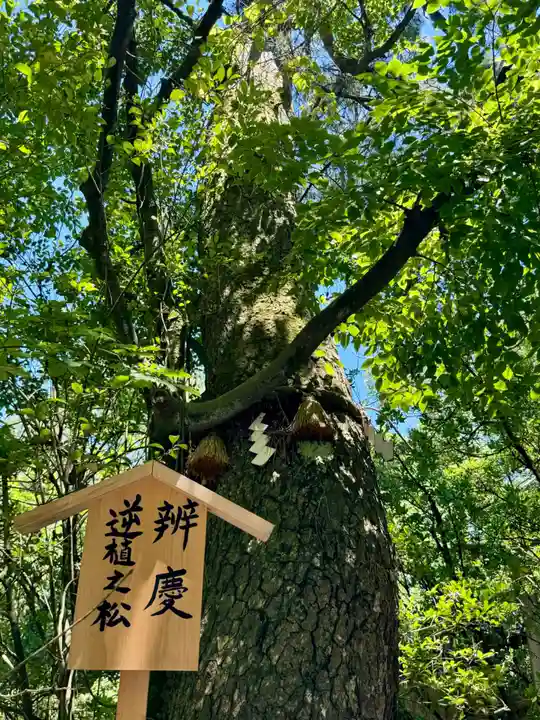 安宅住吉神社(石川県)