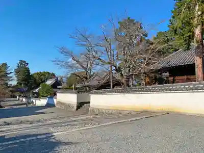 南禅寺のその他建物