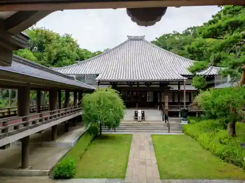 妙法寺(東京都)