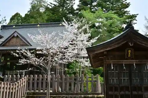 蒼柴神社(新潟県)