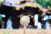 三津厳島神社の自然