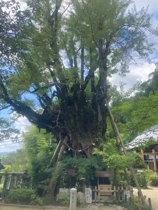 葛城一言主神社(奈良県)