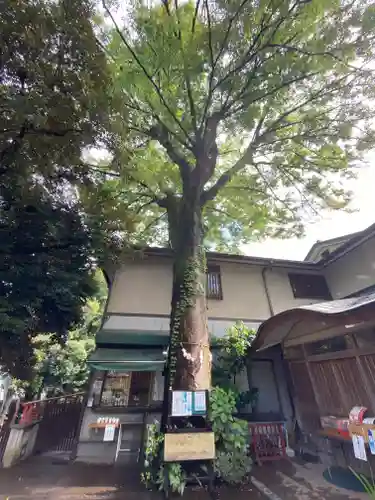 自由が丘熊野神社(東京都)