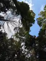 戸隠神社の自然