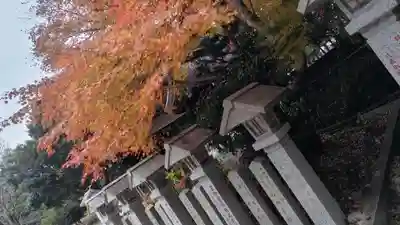 近江神宮(滋賀県)