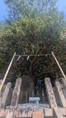 熊野神社（吉川熊野神社）(愛知県)