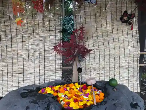 馬場氷川神社の手水