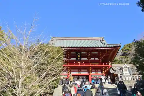 鶴岡八幡宮の本殿・本堂