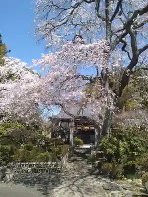 妙頓寺(宮城県)