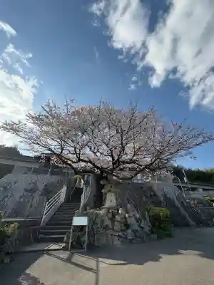 雲願寺(広島県)