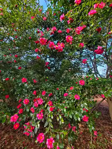 神炊館神社 ⁂奥州須賀川総鎮守⁂(福島県)