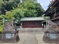 赤羽八幡神社の狛犬