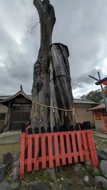 野神社(京都府)