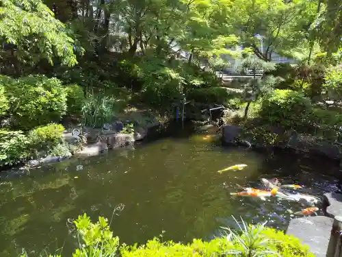 慈眼寺(大阪府)