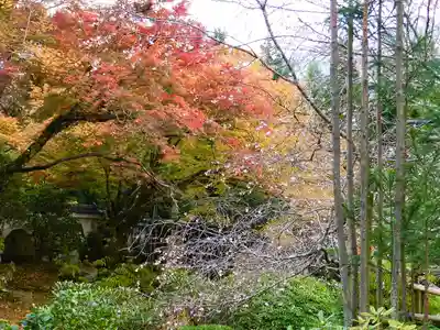 実光院(京都府)