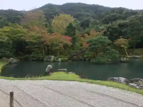 天龍寺の庭園