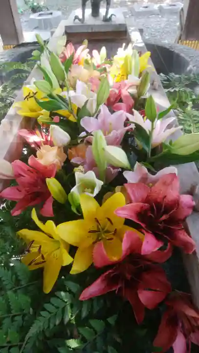 彌彦神社 (伊夜日子神社)の手水舎