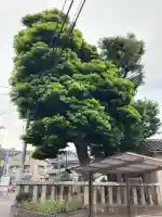 日枝神社(千葉県)