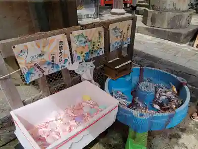 海南神社のおみくじ