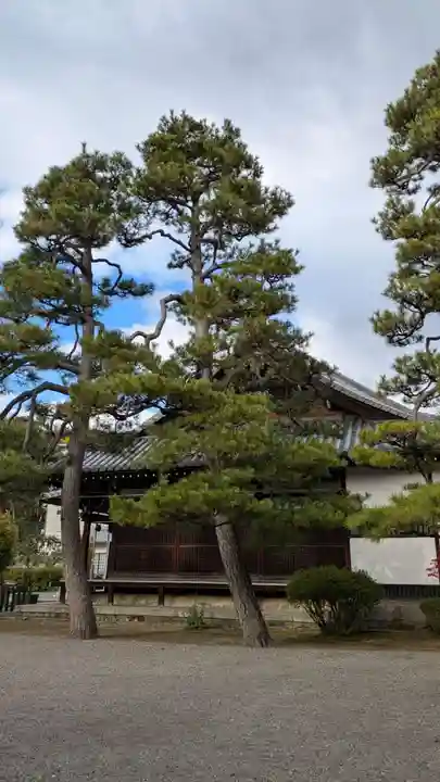 廬山寺(廬山天台講寺)(京都府)