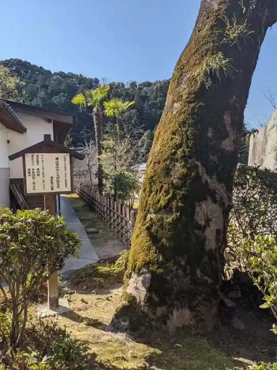 瀧山寺の自然