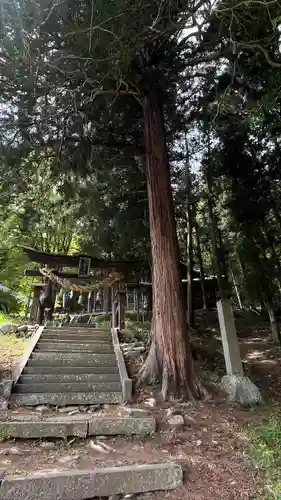 子檀嶺神社の鳥居