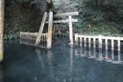 鹿島神宮(茨城県)