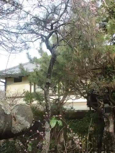 安國論寺（安国論寺）の自然