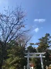 検見川神社の鳥居