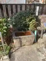 宮参り道の観音堂の手水舎