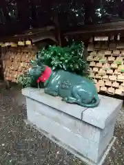 岩槻久伊豆神社の狛犬