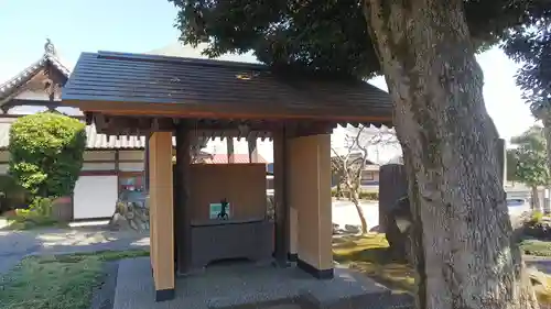 龍圓寺の手水