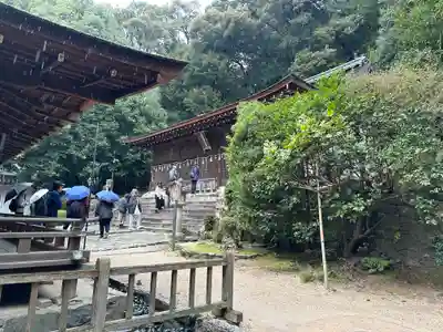 宇治上神社の本殿・本堂