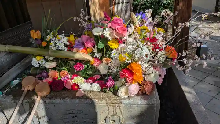 勝林寺(京都府)