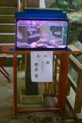 丹生川上神社（中社）の動物