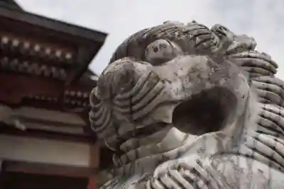 春日神社の狛犬