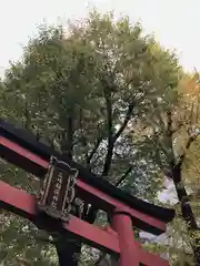 三崎稲荷神社の鳥居