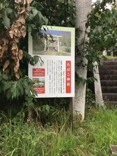 たばこ神社の歴史