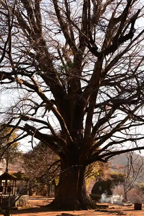 大山寺(徳島県)