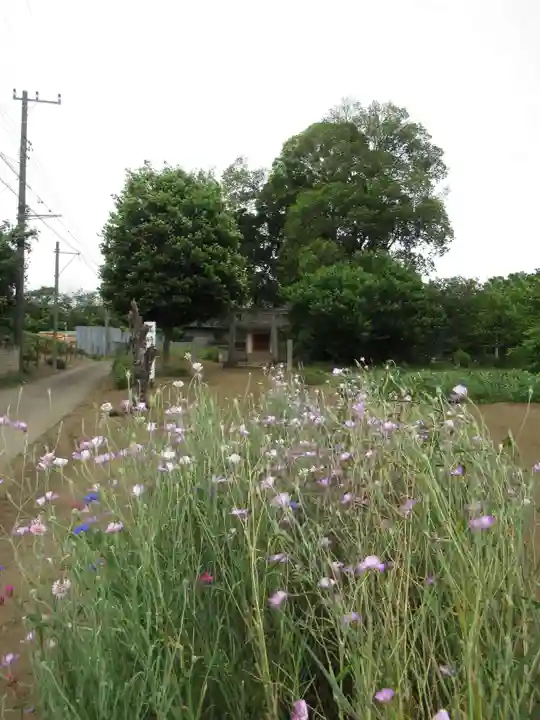 尾崎天神宮(千葉県)