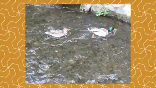 大田神社（賀茂別雷神社境外摂社）(京都府)